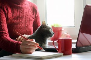 woman working at a desk with cat on her lap