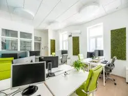 Komodor co-working